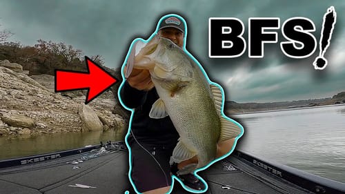 Multi-Species Fishing with Tiny Crappie Baits on BFS Gear!