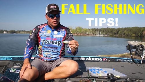 Fall Fishing Tips | Bass Fishing