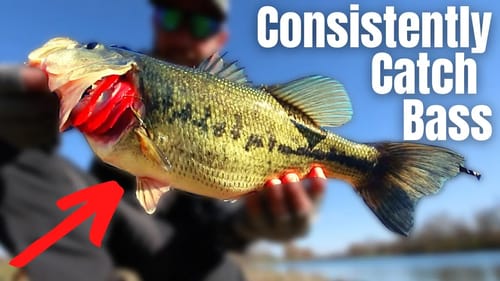 The DIFFERENCE Between GOOD Anglers and GREAT Anglers!