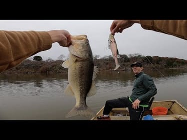 Big Swimbaits for BIG Bass!! (Insane day of fishing Pt 2.)