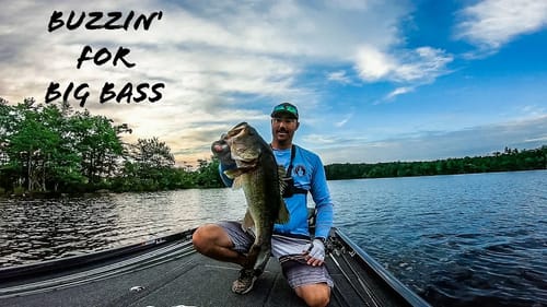 Crushing BIG BASS on BUZZBAITS Over SHALLOW FLATS!!! || Summertime Topwater Fishing