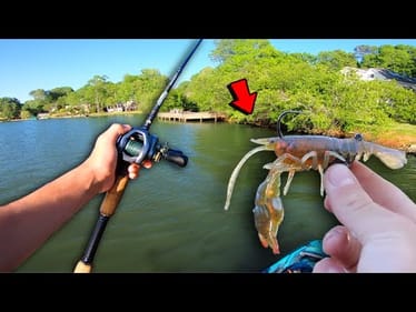 THE WORLDS MOST REALISTIC CRAW LURE! (Crazy Results!)