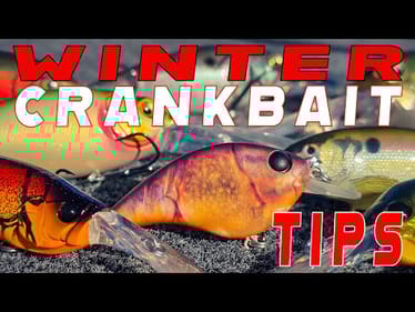 Winter Crankbait Fishing! Everything You Need To Know From Shallow To Deep!