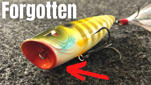 Did You STOP Fishing TOPWATER Poppers?