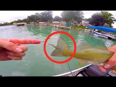What's WRONG With This Fish?? -- Weirdest Fish I've Ever Caught.