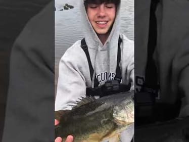BIG BASS From Urban Canal! #shorts