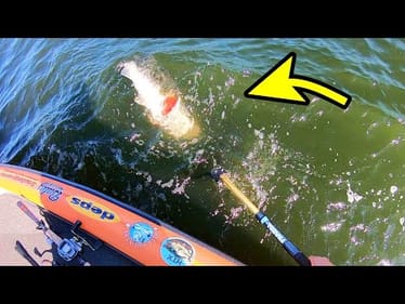 I’ve NEVER SEEN A BASS LIKE THIS in 30 years of fishing!
