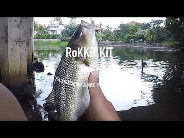 I can't go fishing enough anymore! First Australian Bass!