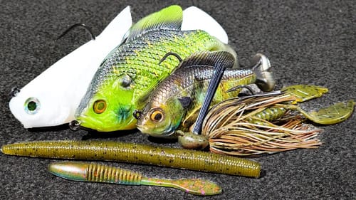 Sight Fishing Tips And Shallow Water Tricks! + Jet Boat Tour!