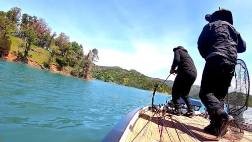 HOOKED UP w/ a BIG Swimbait Fish!! --Last Chance for a PB Bass