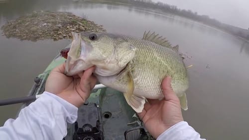 Fishing Sycamore Island on Opening Weekend(Winter Pond Fishing)