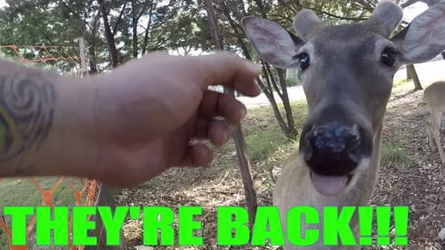 MY LONGEST GROM WHEELIE + THE DEER ARE BACK!!!