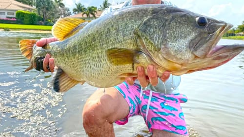 5 Biggest Bass EVER Caught! (Huge Fish)
