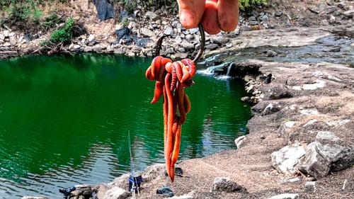 I Could NOT BELIEVE what I Caught HERE!!! (King of the SPILLWAY!)