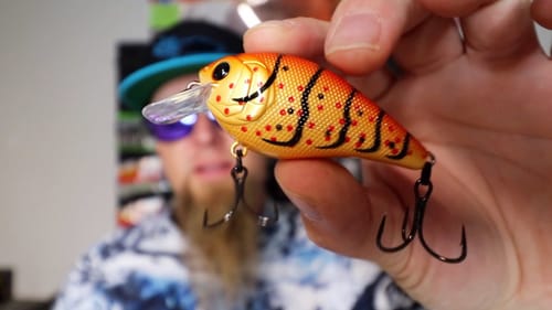 Chester Cheeto Challenge! Will They Eat A Crawfish Crankbait?