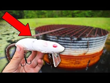 Fishing A RAT LURE For Bass!!