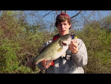 4.2lb Spring Time Chunk (Tough Spring Bite)