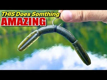 This Worm Does Something AMAZING