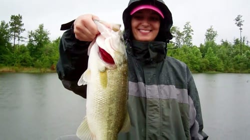 Bass Fishing With a Carolina Rig.