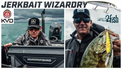KVD's Jerkbait System for Big Water Smallmouth Bass