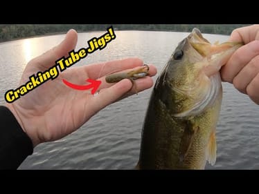 How To Crack A Tube Jig For Big Bass!