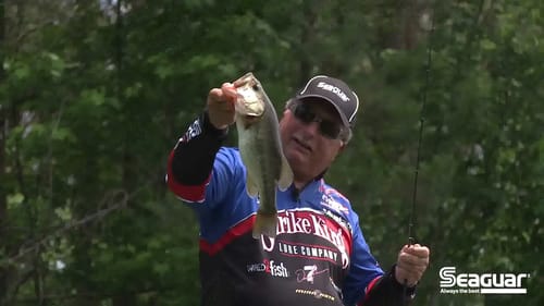 Flipping - The Essentials | Bass Fishing