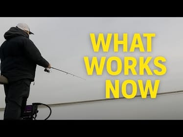 January Bass: What Actually Works  | Bass Fishing