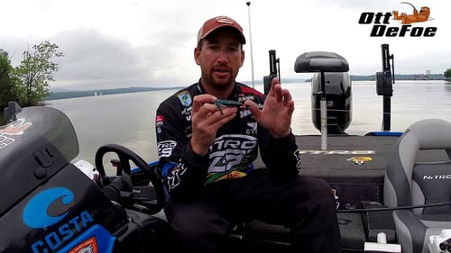 Fishing Tip - Rate of Fall