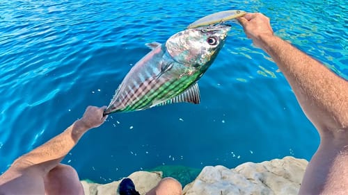 Fishing a NEW Island Unlocking another species!