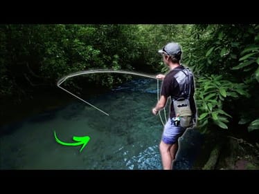 Fly Fishing The BEST TROUT STREAM In North Carolina! (Insane Jorney)