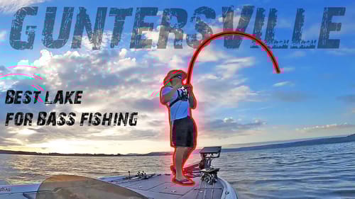 CRUSHING Lake Guntersville Bass! They Are CHEWING! (TOPWATER)