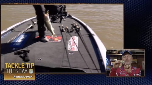 Mark Menendez on selecting a crankbait based on bill action