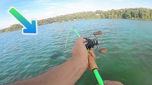 I Caught a ZOMBIE BASS While Fishing (Ft. Flukemaster)