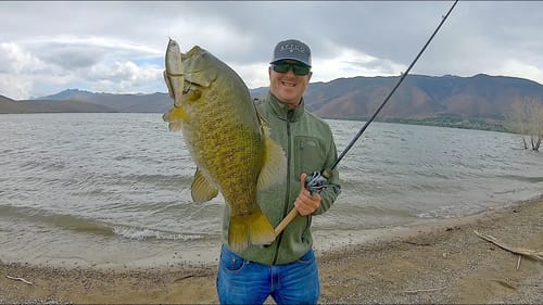 Windy Day Swimbait Fishing From Shore!