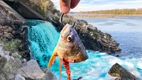 Fishing a RAGING Waterfall Spillway HIDDEN in the Woods!!!