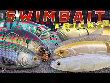 Spring Swimbait Fishing Made Easy! (Seminar For Beginner And Advanced Anglers)