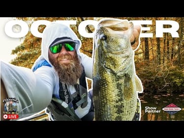 How To Hammer Bass in October
