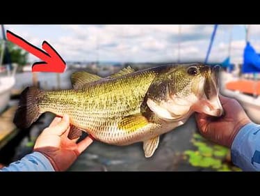 I Have 6 Hours To Catch 5 BIG BASS... (Lake Break)
