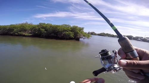 Saltwater Micro Fishing