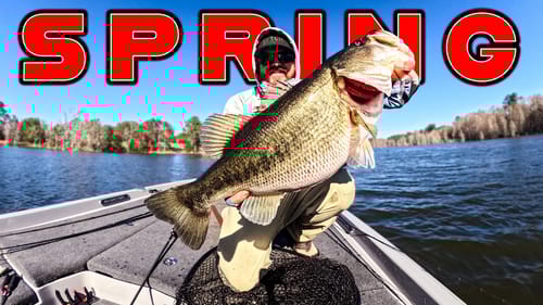 Fishing A Cypress Swamp With Unexpected Baits!