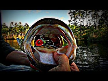 Topwater Bass Fishing Blowups Series 11 - Sixty Big Bass Strikes