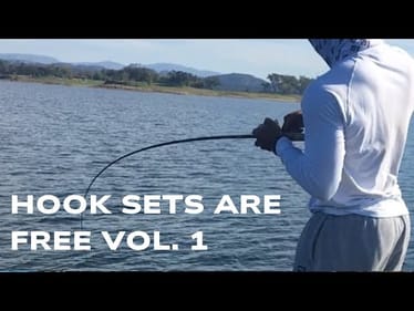 HOOK SETS ARE FREE! VOL. 1 #shorts #bassfishing
