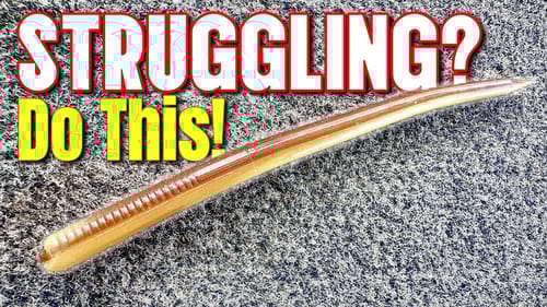Struggling? Do This With a Texas Rig