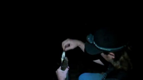 Catching bass on a Rago Rat