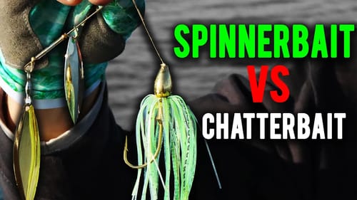 SPINNERBAIT vs CHATTERBAIT for early Winter Fishing?