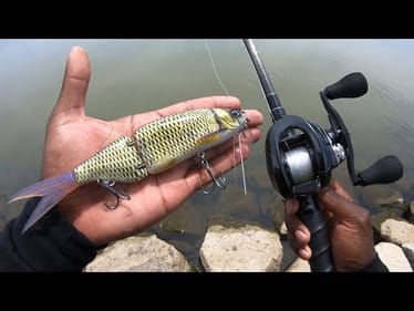 Is Bass Fishing In Japan Really That Difficult?