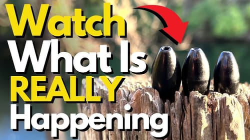 The Truth About Worm Weights in Wood | Bass Fishing Tips