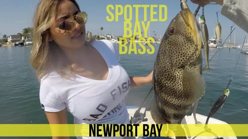 Spotted Bay Bass Fishing in Newport Bay