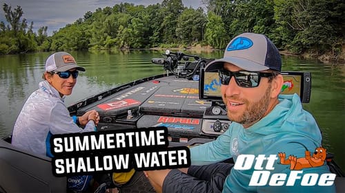 Shallow In The Summer?