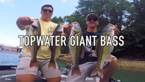 Catching GIANT Bass On TOPWATER - Summer Bass Fishing